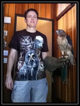 Raptor care volunteer at Richardson Nature Center